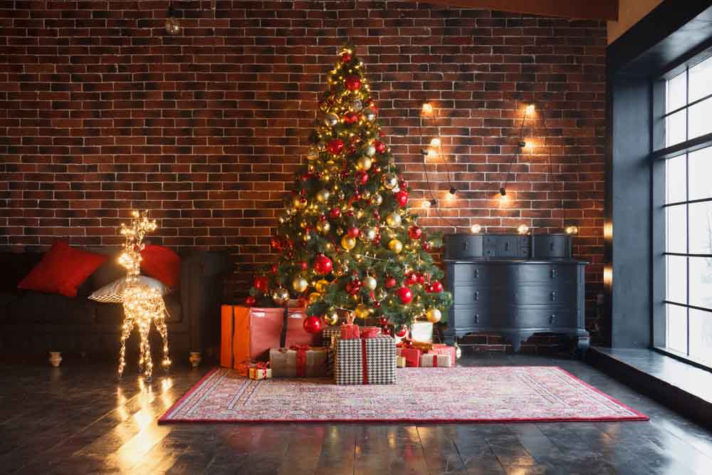 house with xmas decor